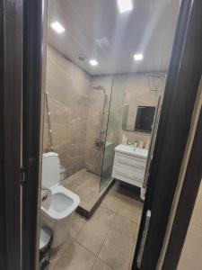 a bathroom with a toilet and a shower and a sink at Rayana's in Vanadzor +8 photos