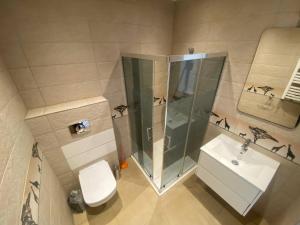 a bathroom with a shower and a toilet and a sink at Pokoje na wynajem w Willi in Warsaw