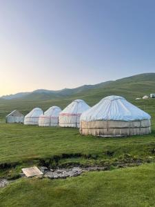 a group of four domes in a field at Dastans Homestay, Bed and Breakfast & Horse riding in Kyzart