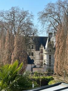 an old castle with trees in front of it at Studio avec vue sur le Château in Azay-le-Rideau