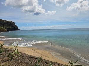 a view of a beach with the ocean at Santa Maria Goldcrest House in Vila do Porto