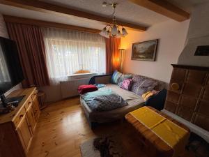 a living room with a couch and a tv at Capybara Guest House in Spittal an der Drau