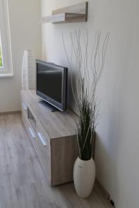 a living room with a tv and a vase with a plant at Ferienbungalow Strandluft in Loissin