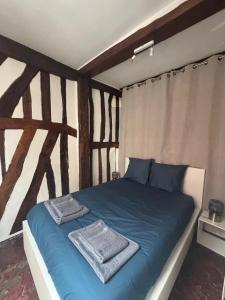 a bedroom with a blue bed with two towels on it at L'écrin Beauvoisine - Rouen Hyper Center in Rouen
