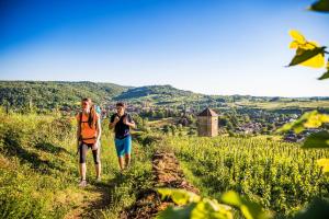a man and a woman walking down a dirt trail at Suite familiale "Le Logis des Ptits Lynx" in Montain +13 photos