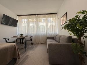 a living room with a couch and a table at Moderne Studio Wohnung in Stuttgart-Zentrum in Stuttgart