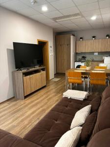 a living room with a couch and a flat screen tv at Mnd Aqua Nest in Zalakaros