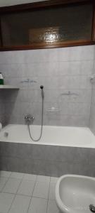 a bathroom with a bath tub and a shower at Casa GALLI Como in Colverde +32 photos