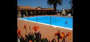 a person is swimming in a swimming pool at Tropea's green terrace in Tropea