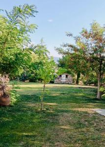 a small tree in the middle of a grass field at Mountain pool house in Varnávas +19 photos