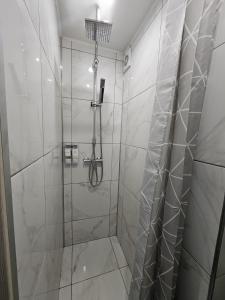 a bathroom with a shower with a glass door at Studio apartment in Rēzekne +5 photos