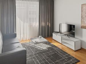 a living room with a couch and a television at Cozy 1BR near lake with balcony - Mill 422 in Zurich