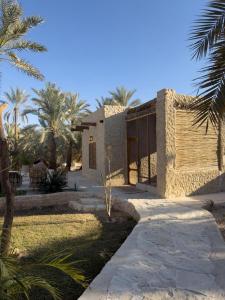 a house with palm trees in front of it at Hidden Garden House in Siwa
