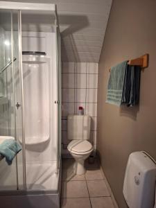 a small bathroom with a toilet and a shower at Villa Clara in La-Roche-en-Ardenne +21 photos