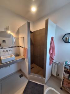 a bathroom with a shower with a sink and a mirror at Bed and breakfast Maipu in Maipú +7 photos