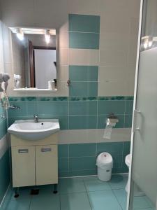 a bathroom with a sink and a toilet at Pensiunea Alexia in Bistriţa