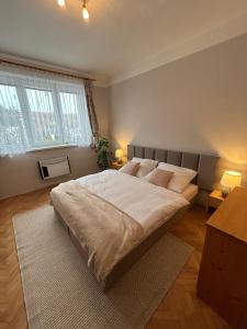 a large bed in a bedroom with two windows at Aparmán Na Divoké Orlici in Orlické Záhoří 