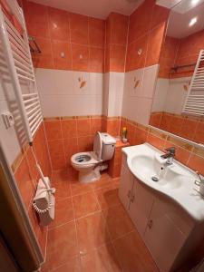 a bathroom with a toilet and a sink at Aparmán Na Divoké Orlici in Orlické Záhoří  +20 photos