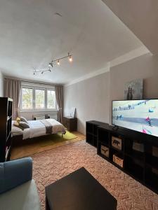 a bedroom with a bed and a flat screen tv at Aparmán Na Divoké Orlici in Orlické Záhoří 