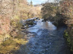 a river with ducks swimming in the water at La Tanière in Sirod