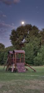 a wooden playground in a field with a tree at Rancho La Peregrina in Nono