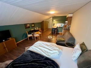 a room with a couch and a living room at Studio Apartment Göschenen in Göschenen