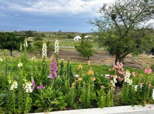 a garden with colorful flowers in a field at Firgrove Country Lodge in Robertson