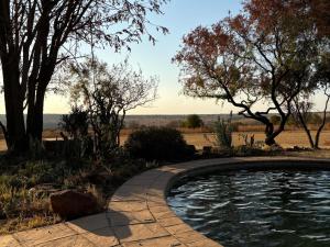 a swimming pool in a yard with trees at Butjani Lodge in Cullinan