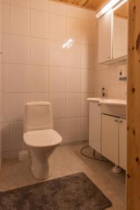 a bathroom with a toilet and a sink at Pielusrinne in Hattusaari +17 photos