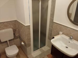 a bathroom with a shower and a toilet and a sink at Palazzo Brigido Apartment in Trieste
