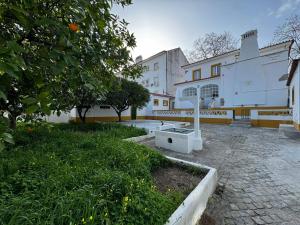 a courtyard with a building and an orange tree at T'Inácia Guest House in Évora