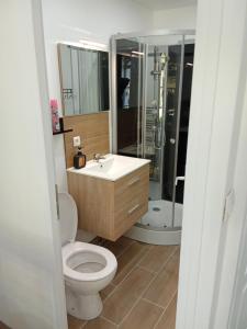 a bathroom with a toilet and a sink and a shower at EVASION LOUE #5 x2 people "La POTERIE" in Lods