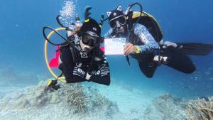 two people in diving gear on a coral reef at ParfrayHomestay Raja ampat in Besir