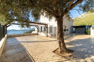 a tree on a brick sidewalk next to a building at Villa Miramare in Blizikuće