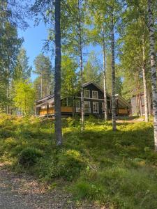 a house in the middle of a forest with trees at Koliwood B in Kolinkylä