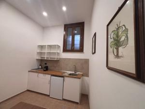 a small kitchen with a sink and a counter at Barberini Guest House Palestrina in Palestrina