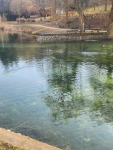 a body of water with green algae in it at Woodbox Noszvaj in Noszvaj +2 photos