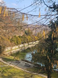 a park with a lake and benches and trees at Woodbox Noszvaj in Noszvaj