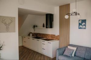 a kitchen with a sink and a couch in a room at Sam Las Apartamenty Białowieża in Białowieża +82 photos