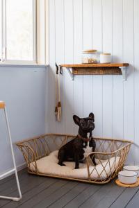 a dog sitting on a dog bed in a room at Croftby Hills - Scenic Rim in Croftby