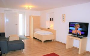 a living room with a couch and a flat screen tv at Hotel Apartment Das Au- Gut in Hallein
