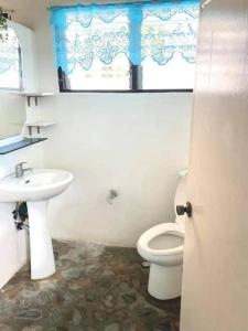 a bathroom with a toilet and a sink and a window at Tamari's Rest House in Lian