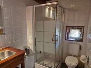a bathroom with a shower and a toilet and a sink at Gîte Marie, Beynat, Corrèze in Beynat +25 photos