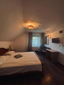 a hotel room with a bed and a window at Vila Antanta Podu' Cu Lanturi in Bacău