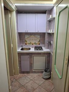 a small kitchen with a sink and a stove at Casa Vacanze Nantò 2 in Santa Maria di Castellabate