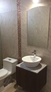 a bathroom with a sink and a toilet at HOSTAL CAMIL in Loja
