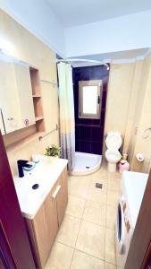 a bathroom with a sink and a toilet and a shower at Oikos Apartment in Hanioti +9 photos