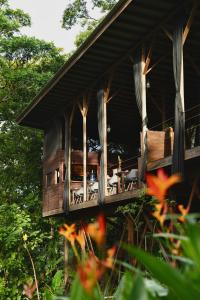 a wooden cabin with a deck in the woods at Ataraxia in Bastimentos