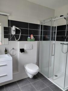 a bathroom with a toilet and a glass shower at B&B Les hirondelles du moulin, Val de Loire in Sassay +52 photos