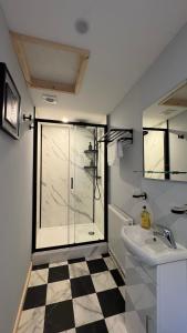 a bathroom with a shower and a sink at Converted Barn Studio with Private En-Suite in Horspath